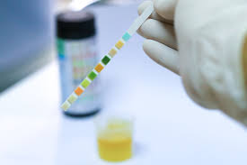 infeccao urina